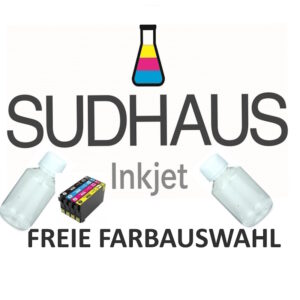 100 ml kompatibel pigmentierte Tinte für Epson R2400/2880 (Freie Farbauswahl)